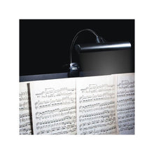 Load image into Gallery viewer, Orchestra LED Light
